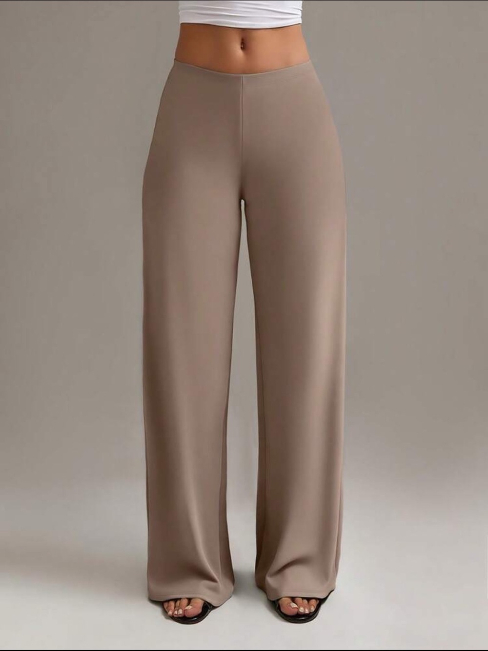 High-Rise Wide-Leg Women’s Pants in Taupe